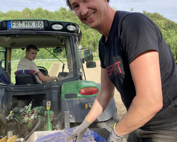 Winzerhof Hintereck Jürgen am Traktor